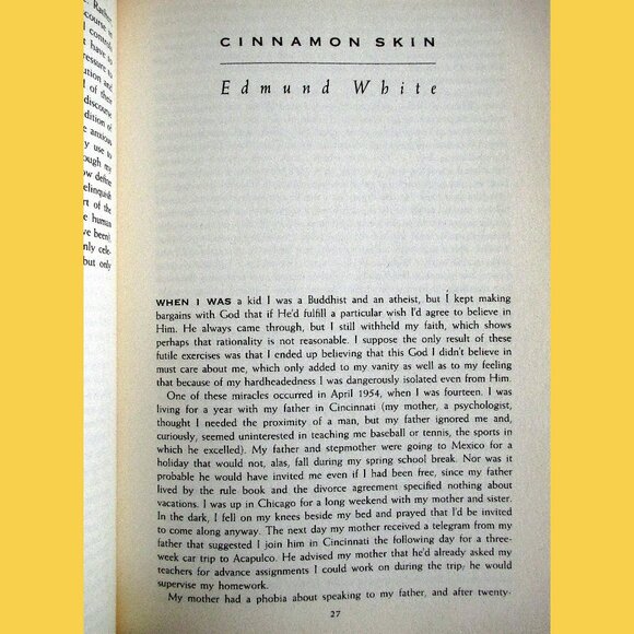 Book - Boys Like Us: Gay Writers Tell Their Coming Out Stories, ed Patrick Merla - Picture 9 of 15